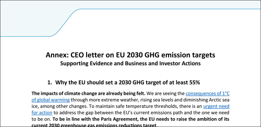 Annex CEO letter on EU 2030