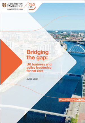 Bridging the gap report cover