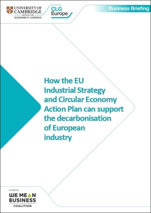 EU industrial strategy and CEAP business briefing