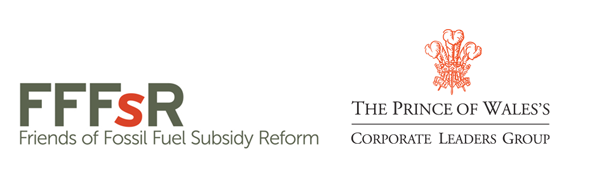 FFFSR logo FFFSR logo