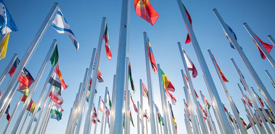 Flags Flags