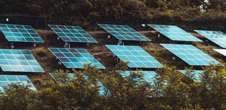 Bank of solar panels nestled behind branches of trees Bank of solar panels nestled behind branches of trees