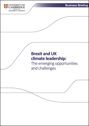Brexit UK report cover